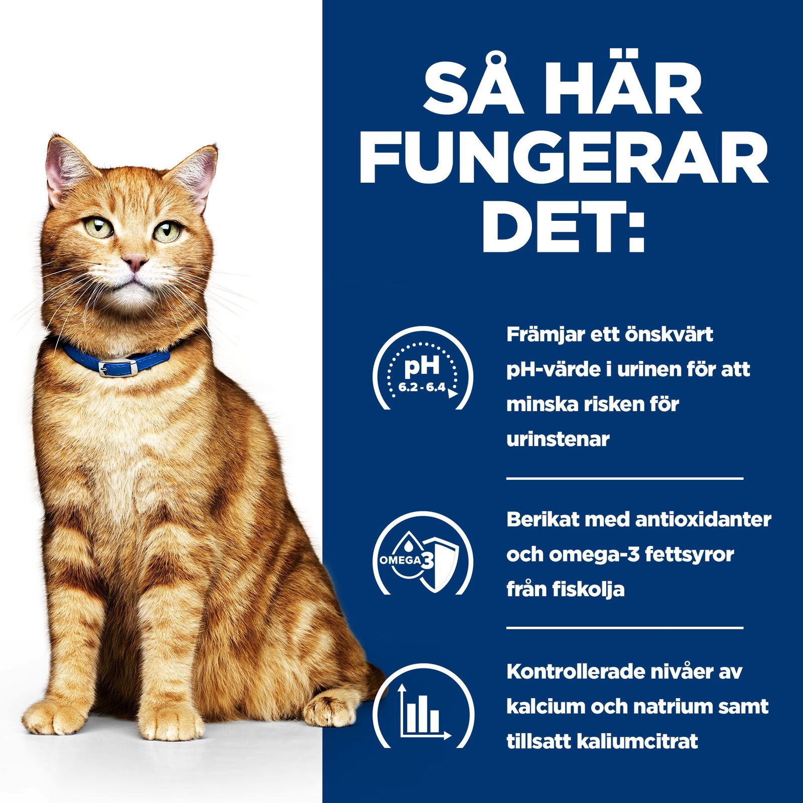 Hills Diet Cat c/d Chicken Portionspåse 12x85g