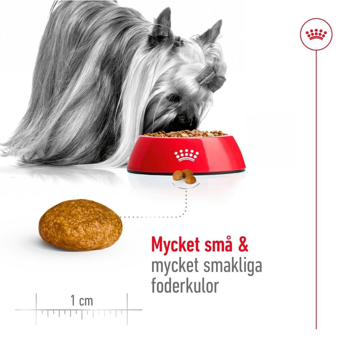 Royal Canin X-small Adult torrfoder för hund