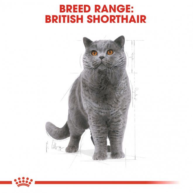 Royal Canin British Shorthair Adult torrfoder för katt