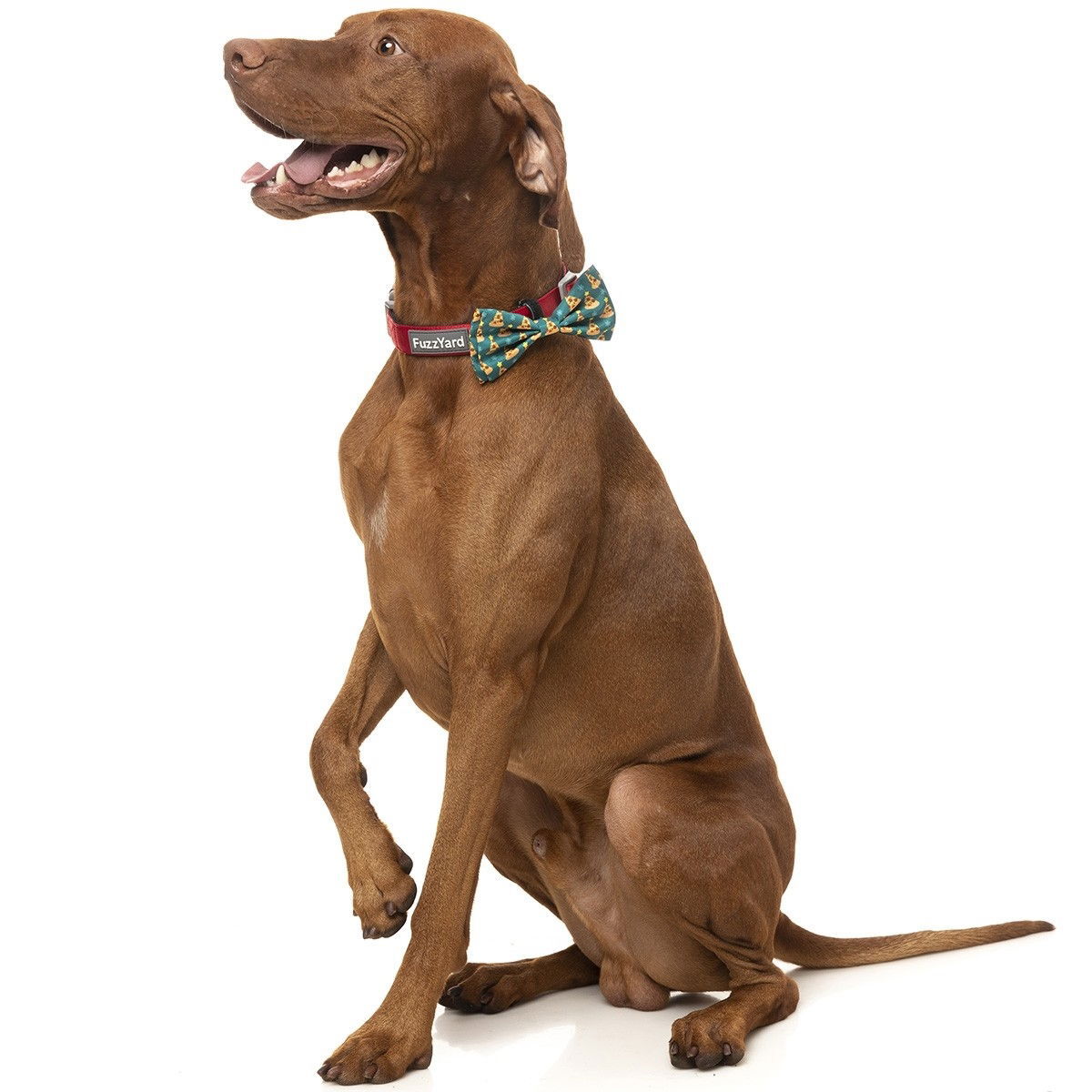 FuzzYard Xmas Bowtie Pizzamas Tree