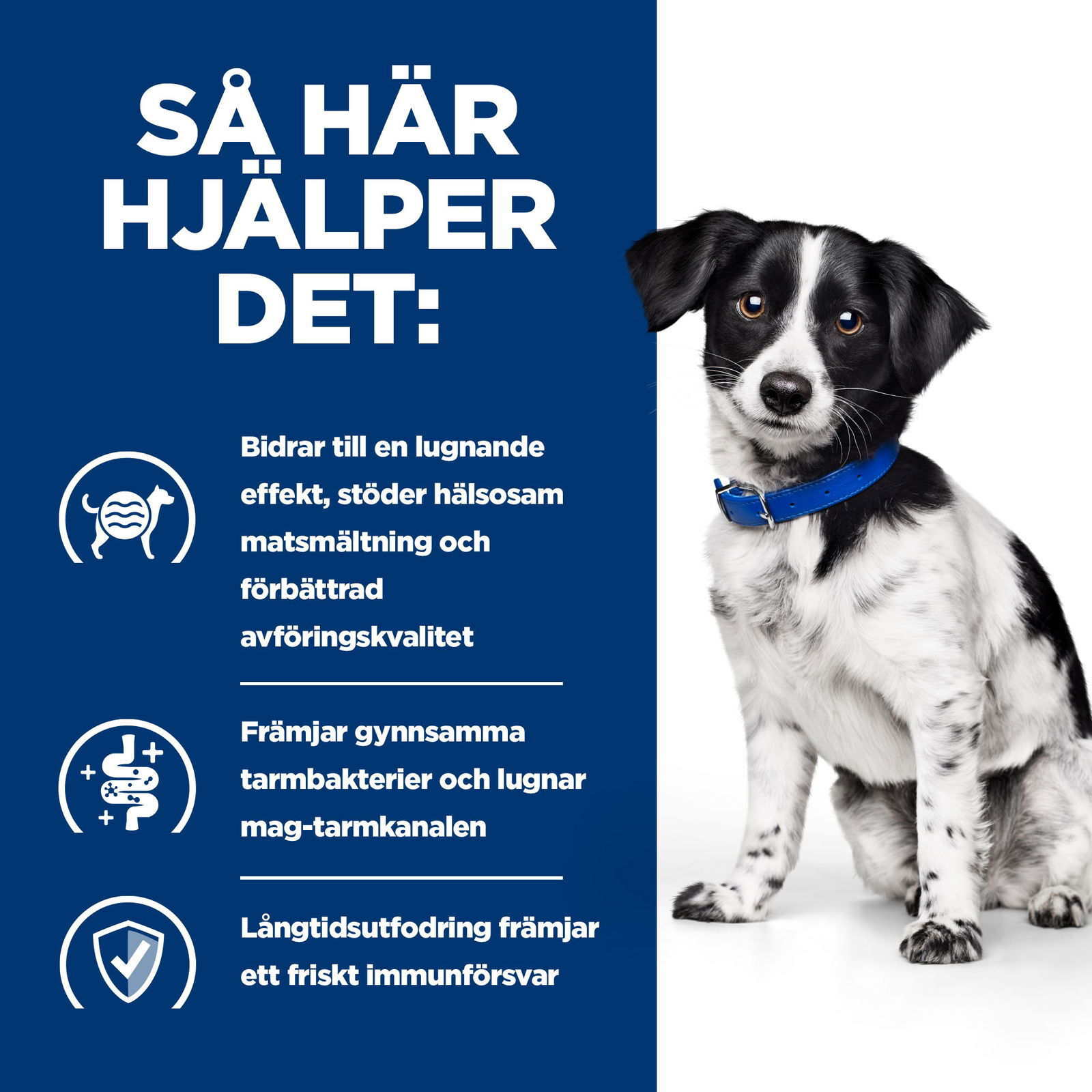 Hill's PRESCRIPTION DIET i/d Stress Mini Stew för hundar Kyckling&grönsaker