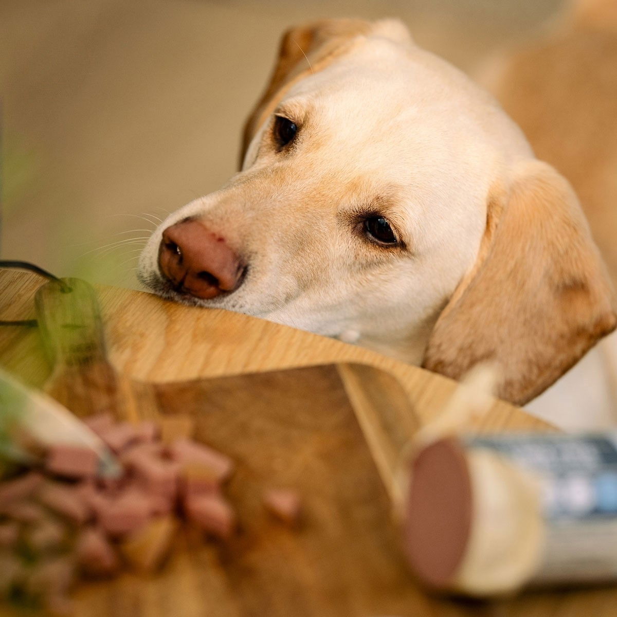 Trick&Treat Paté Sausage Venison