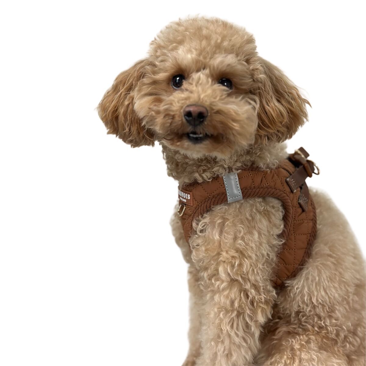 Trufois Cat Step-In Harness Macchiato Brown