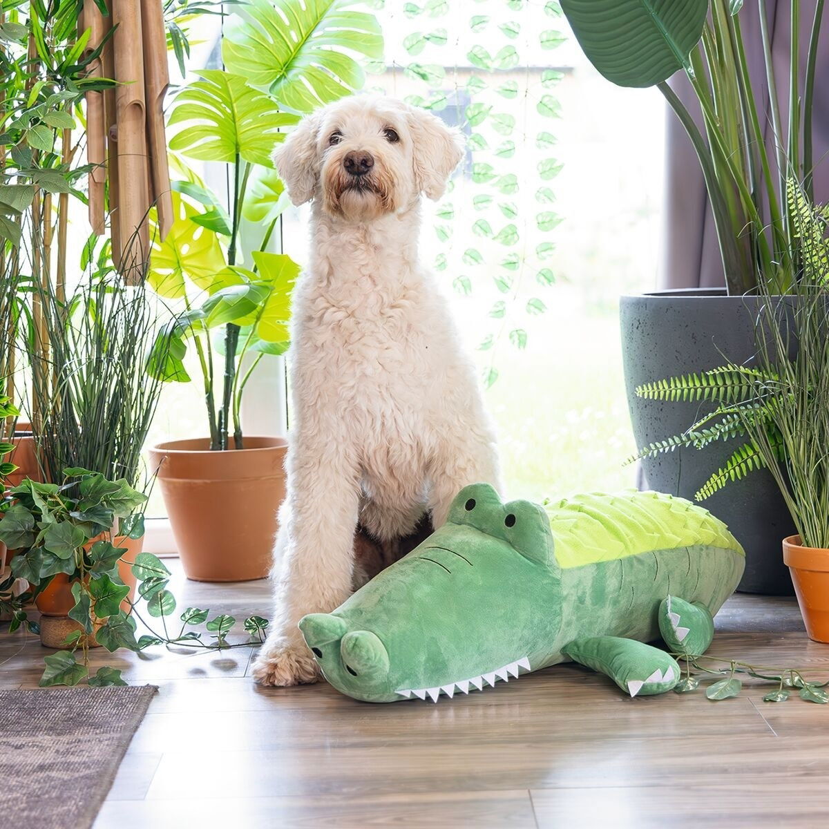 Beeztees Hide N Seek Jungle Crocodile