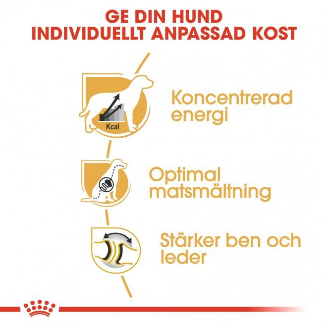 Royal Canin Great Dane Adult torrfoder för hund