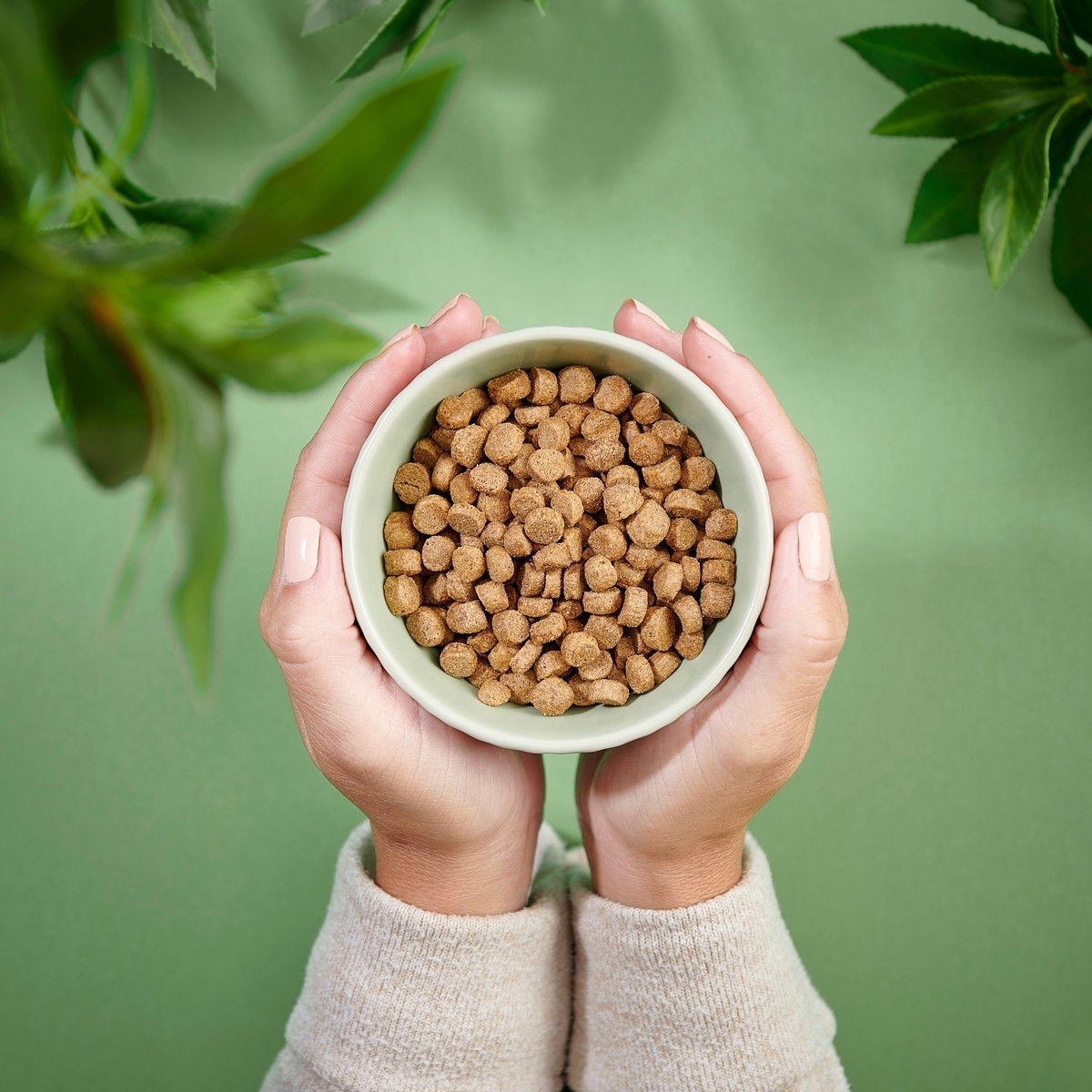 Purenatural Cat Sterilised Chicken