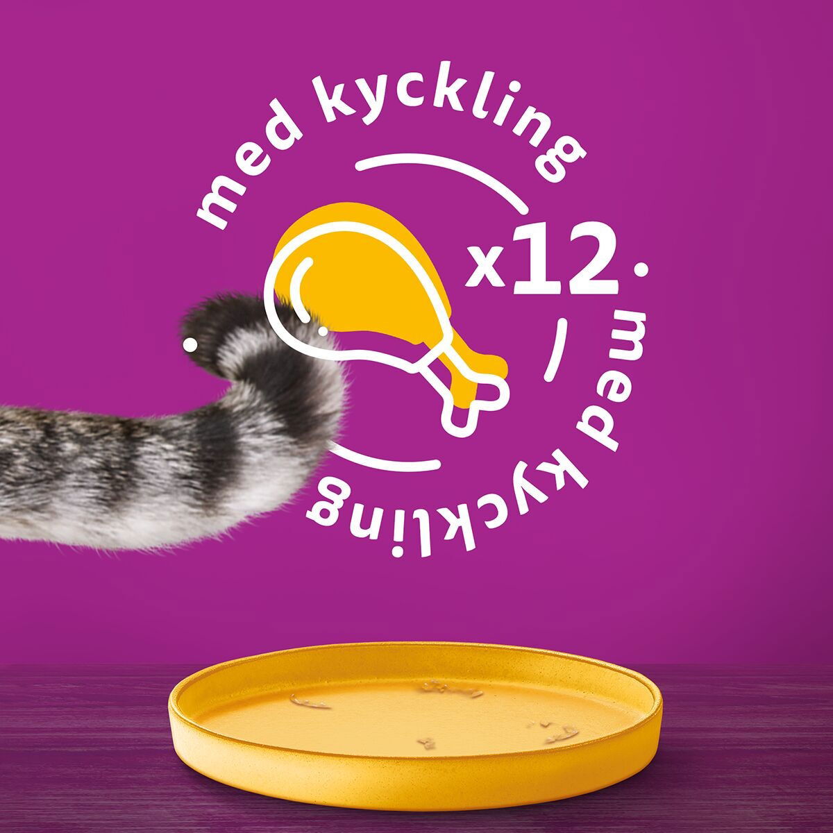 Whiskas chicken gravy 400g