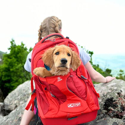 Kurgo G-Train K9 Pack Ryggsäck