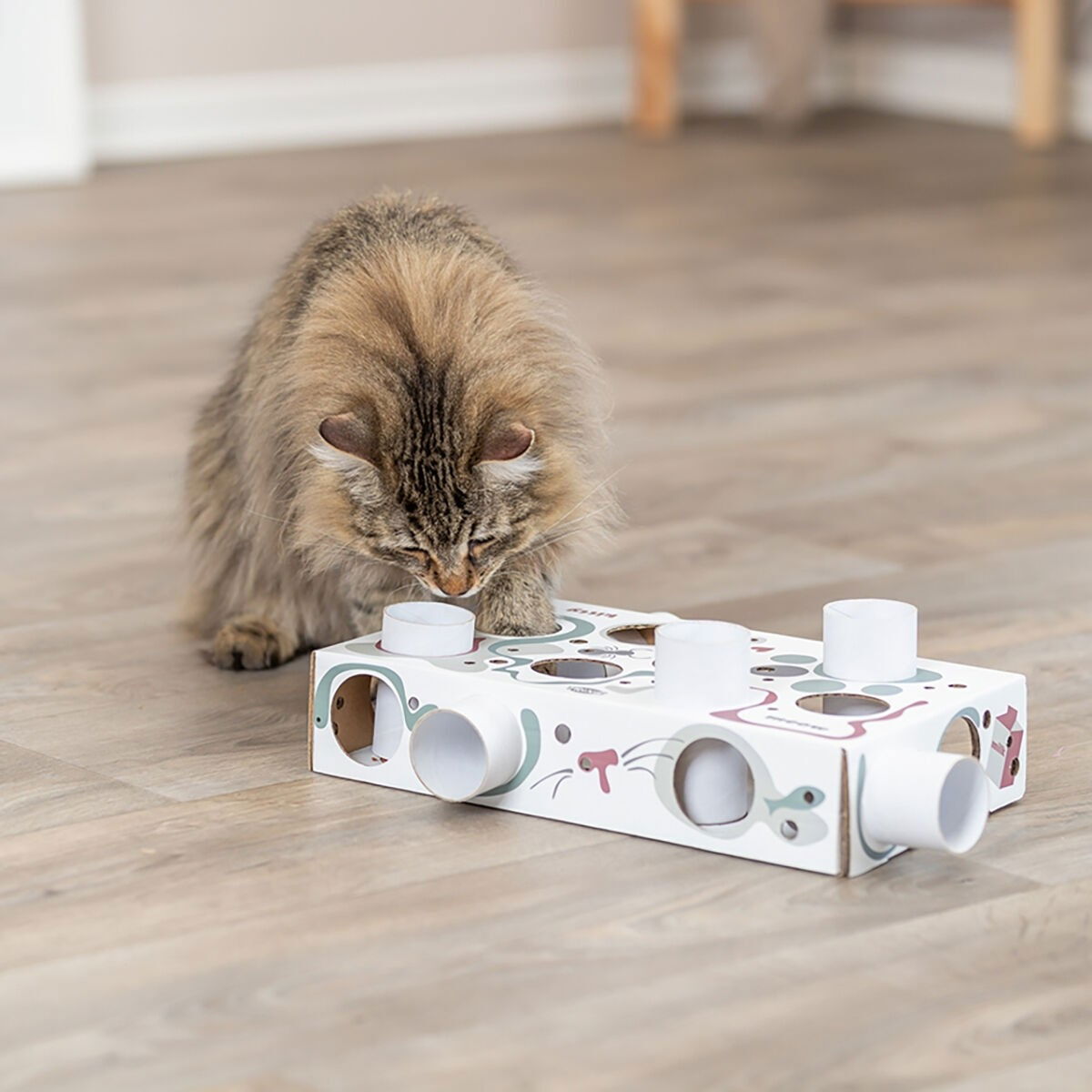 Trixie Cat Activity Paws'n'Treats Box