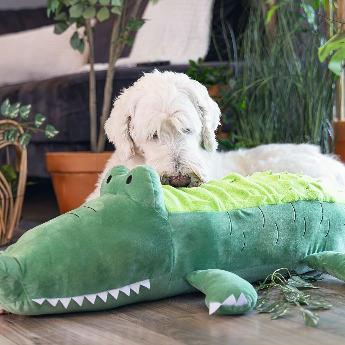 Beeztees Hide N Seek Jungle Crocodile