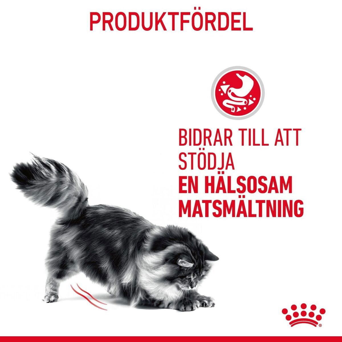 Royal Canin Digestive Care Gravy Adult våtfoder för katt