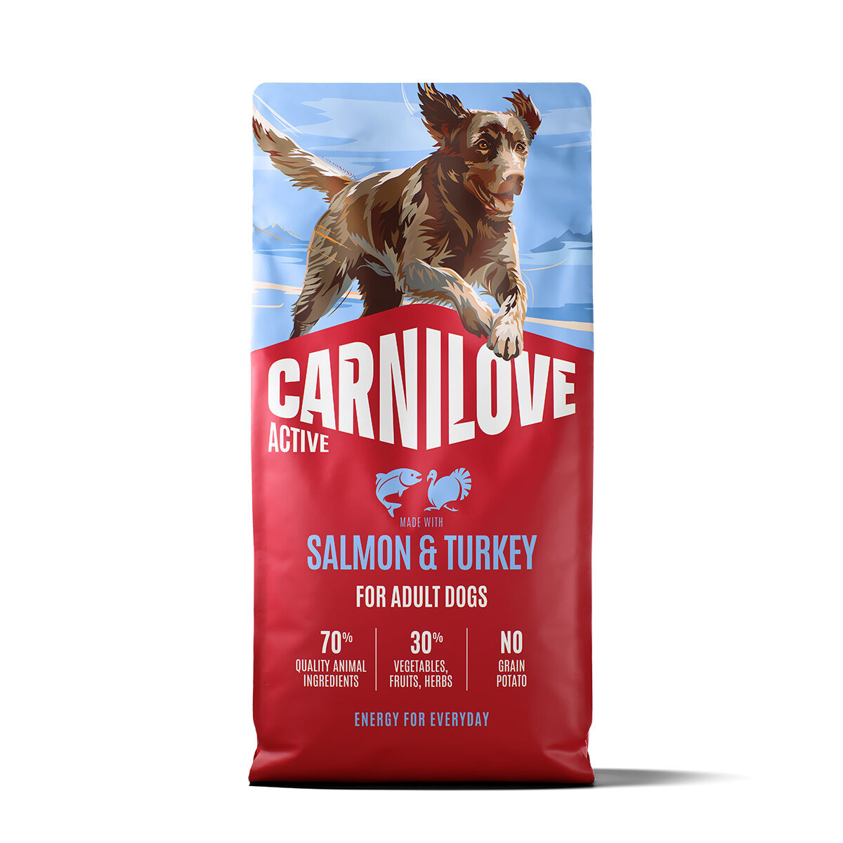 Salmon & Turkey Adult Torrfoder för Vuxna Hundar - 12 kg