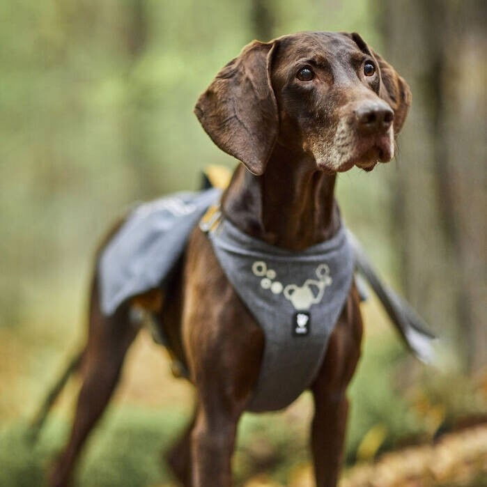 Hurtta Expedition Pack ECO blackberry