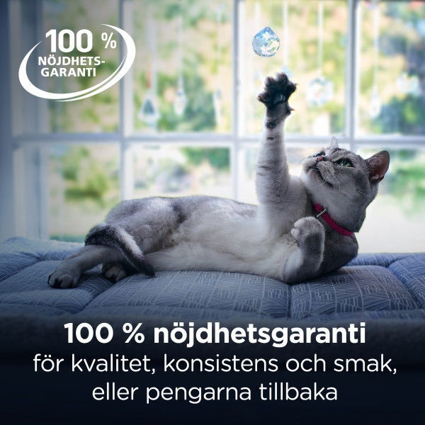 Hill's PD Feline GI Biome Stew Chick&Veg 82g