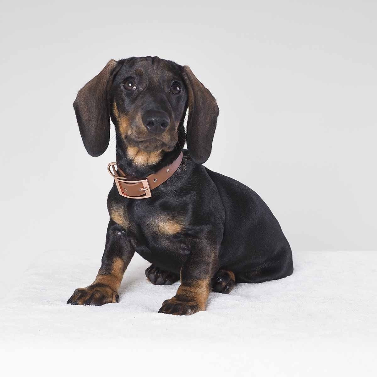 Tyylivoitto Classy narrow collar, brown