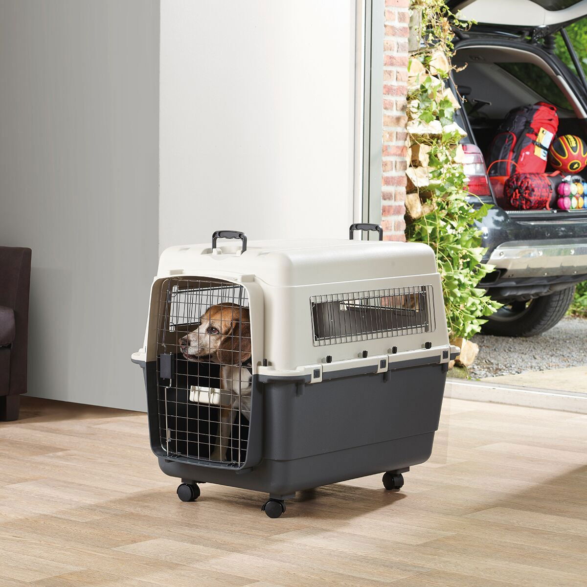 Savic Andes transport crate