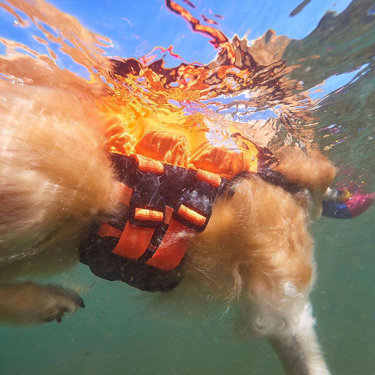 Non-Stop Protector life jacket black/orange