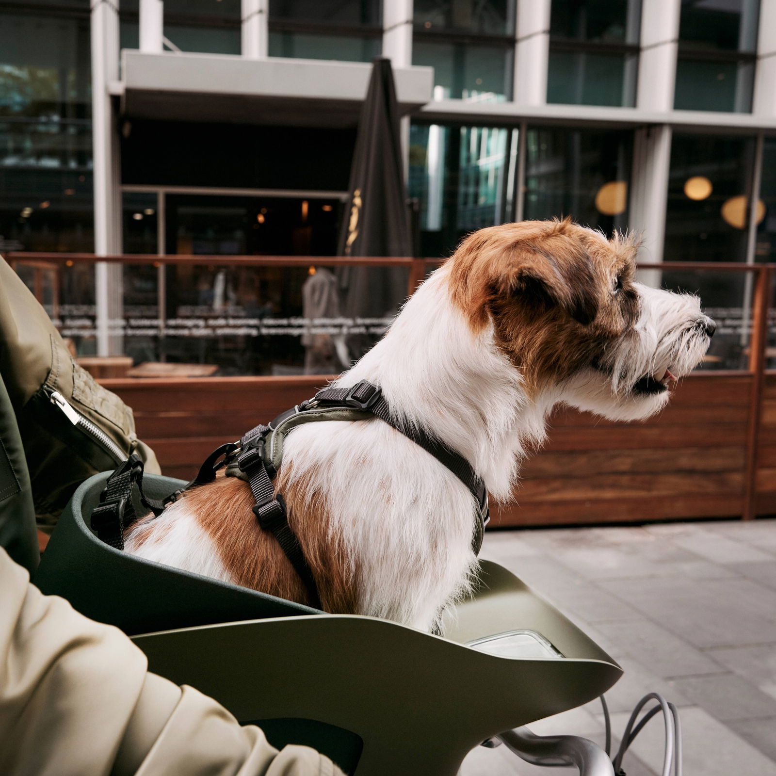 Kvisp bicycle basket with travel harness midnight grey