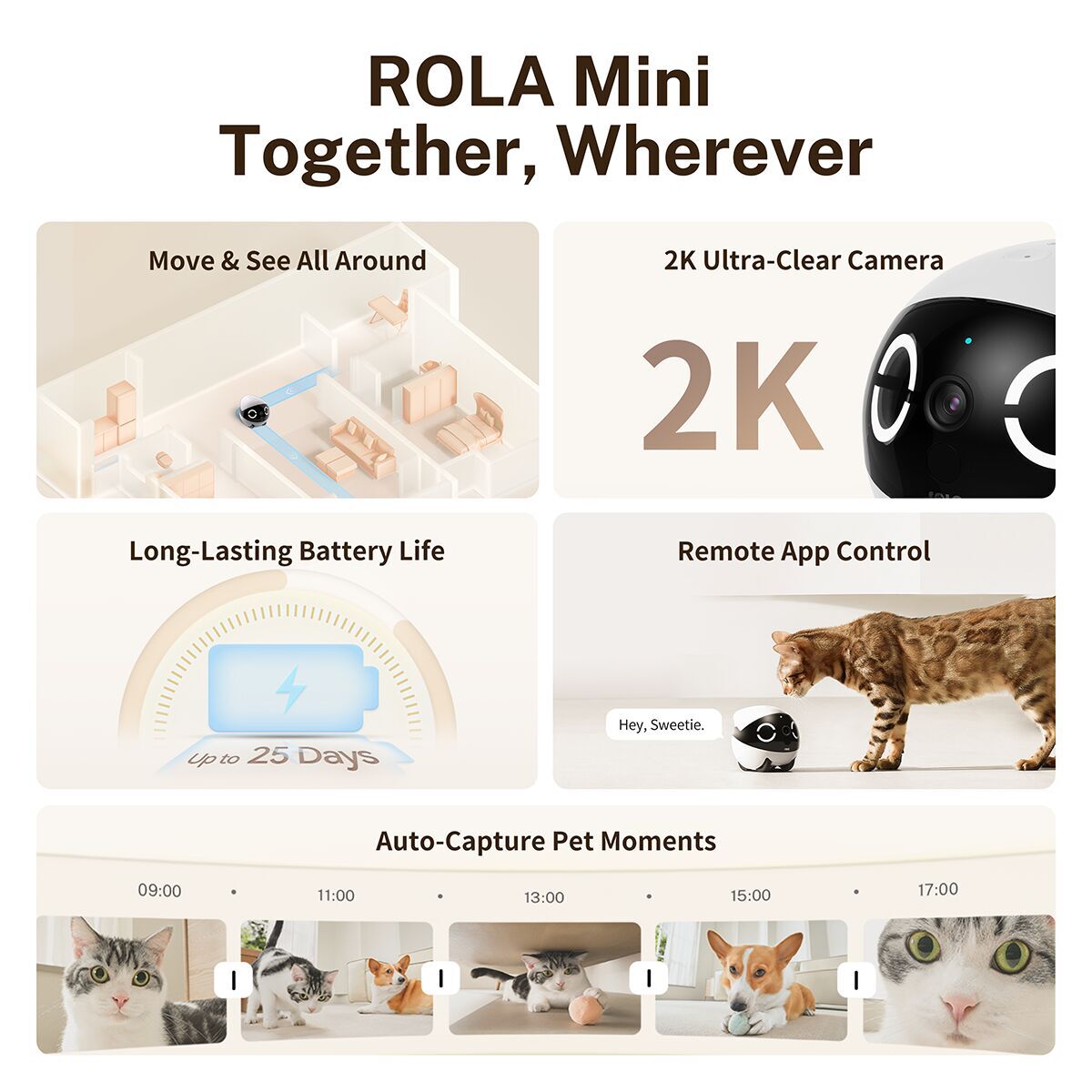 Enabot Rola Mini Companion Robot