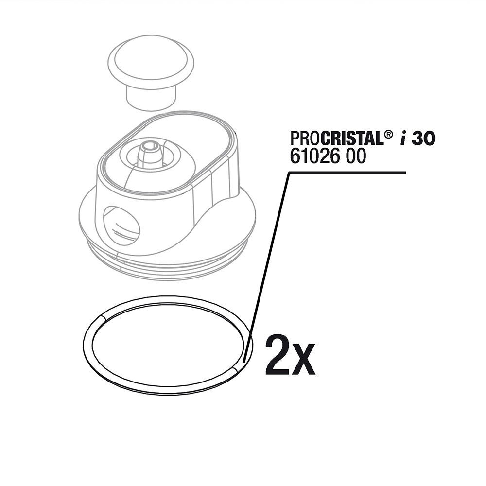 JBL ProCristal i30 O-Ring 2pcs