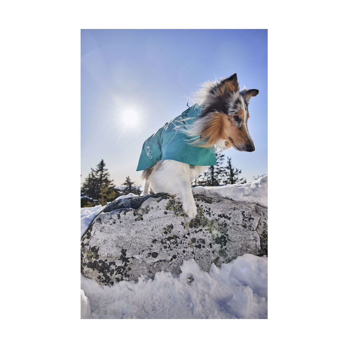 Hurtta Monsoon Coat II ECO peacock