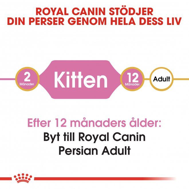 Royal Canin Persian Kitten torrfoder för kattunge