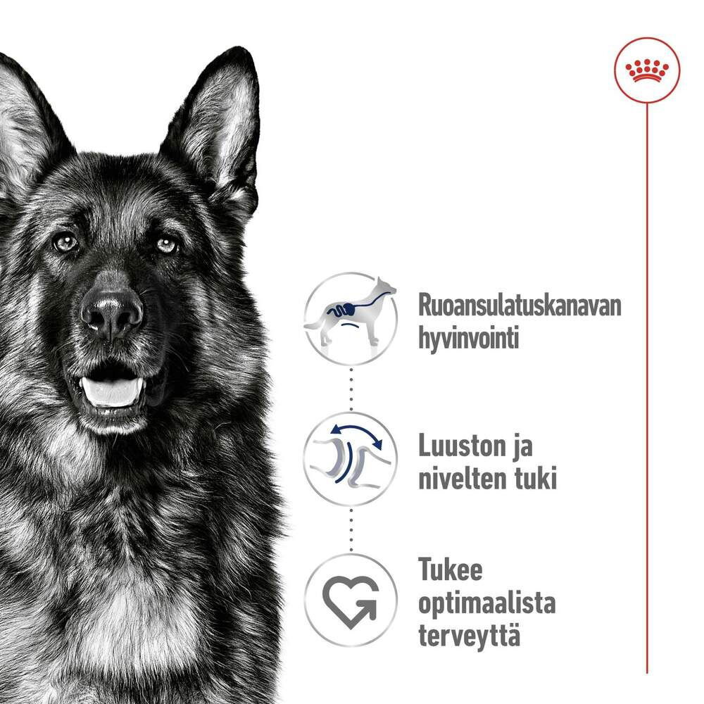 Royal Canin Maxi Adult torrfoder för hund