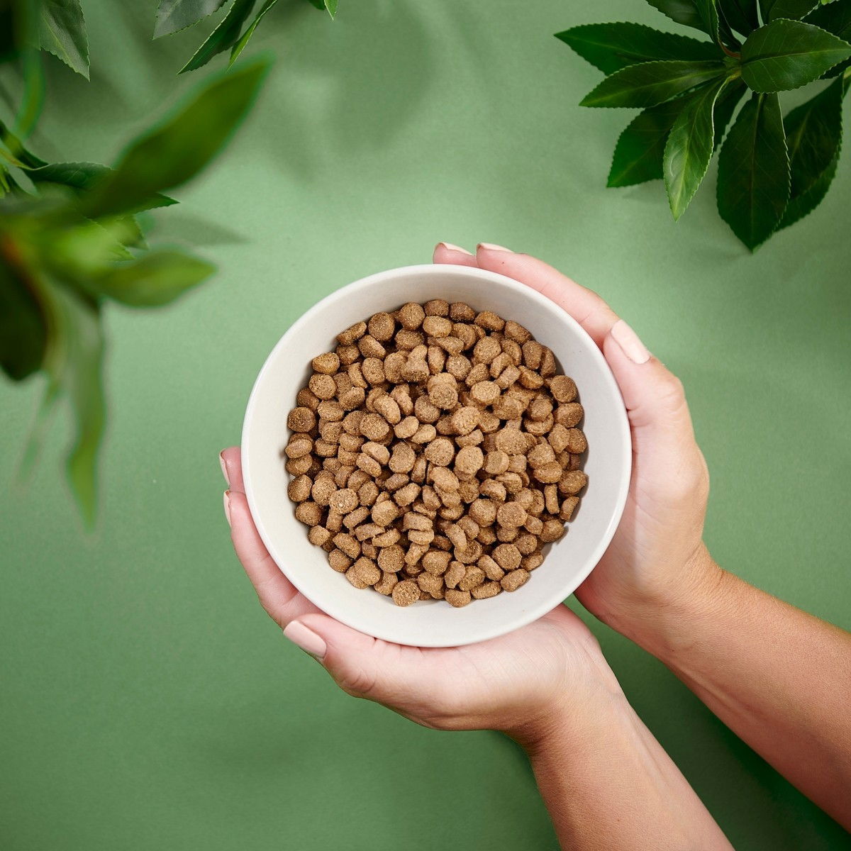 Purenatural Dog Adult Mini