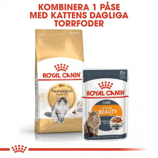 Royal Canin Norwegian Forest Adult torrfoder för katt