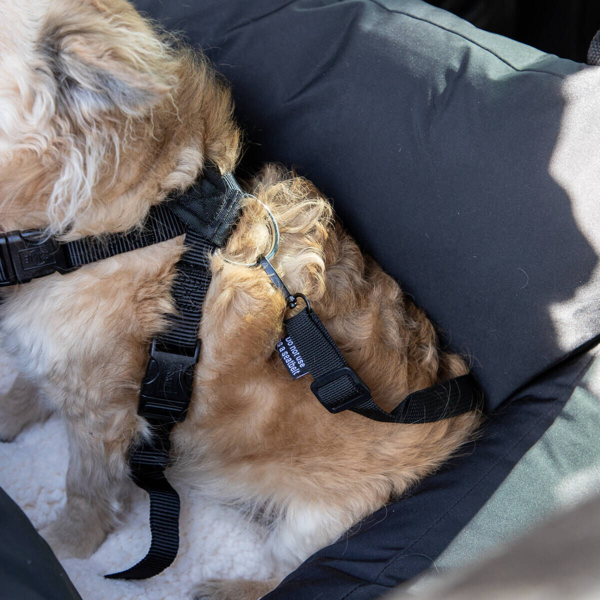 Basic Travel dog bed for car seat waterproof