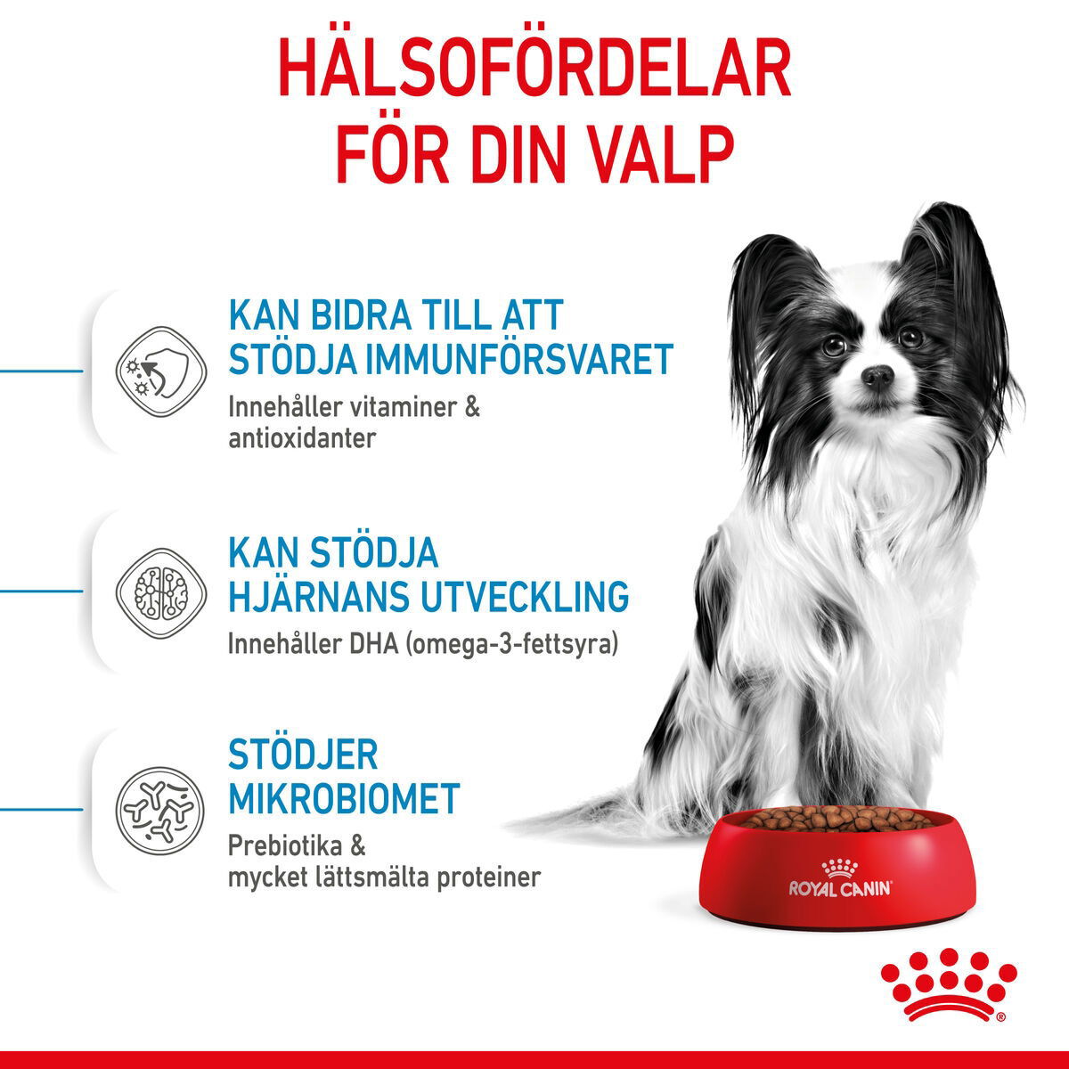 Royal Canin X-small Puppy torrfoder för hundvalp