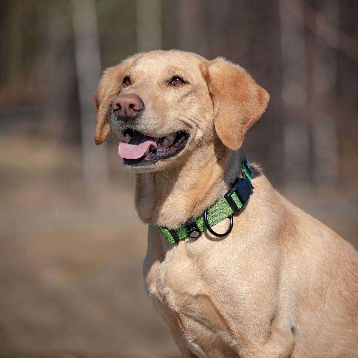 Feel Active Padded Collar Forest Green