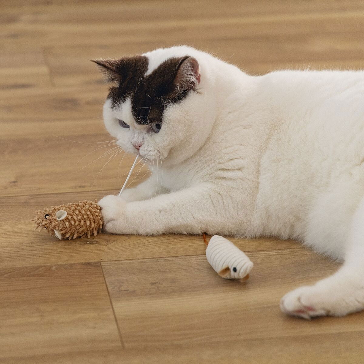 Beeztees Eco Cat Mice Seerp