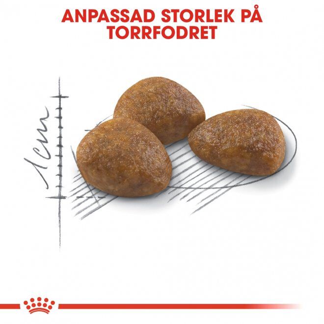 Royal Canin Outdoor 7+ Ageing torrfoder för katt