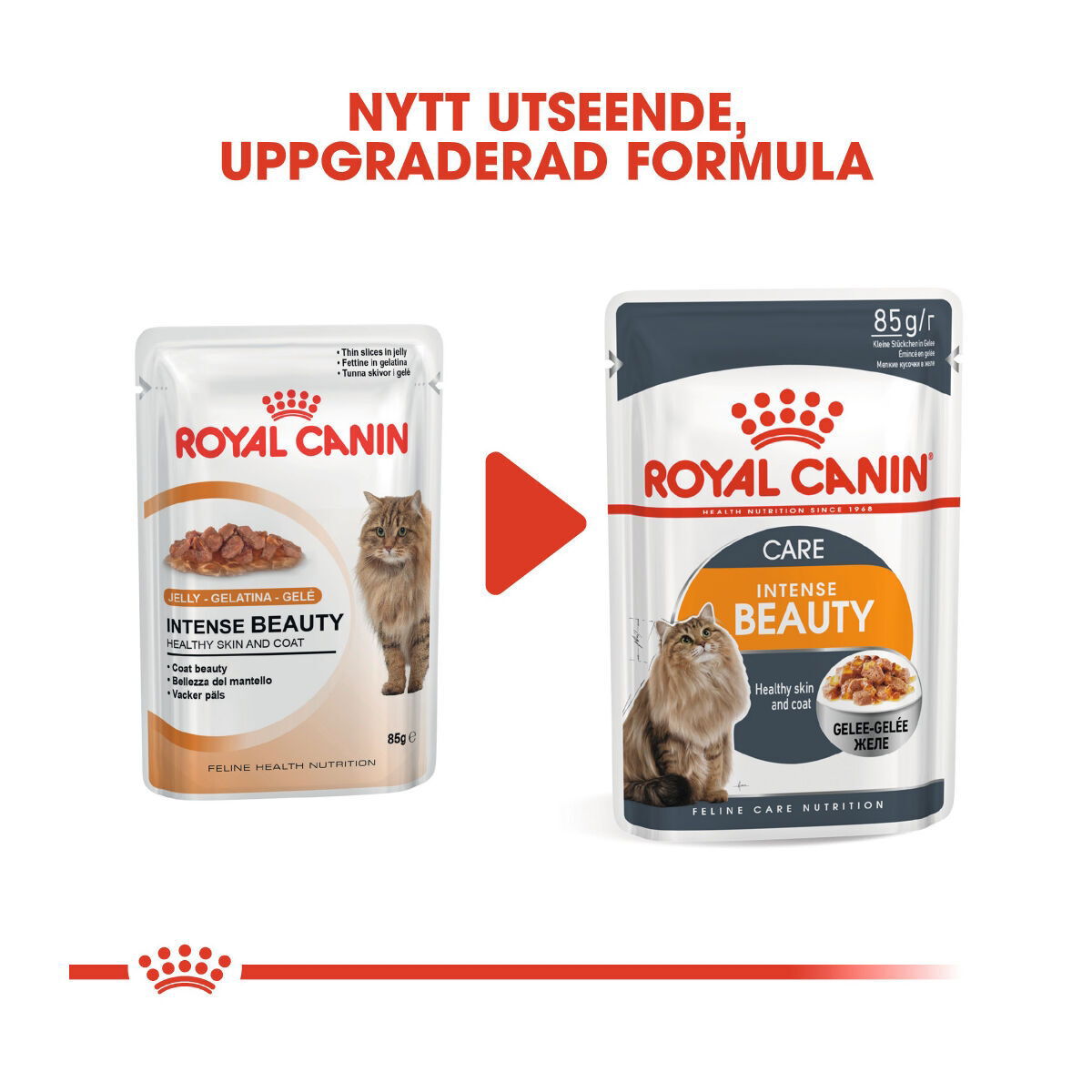 Royal Canin Hair & Skin Care Jelly Adult våtfoder för katt