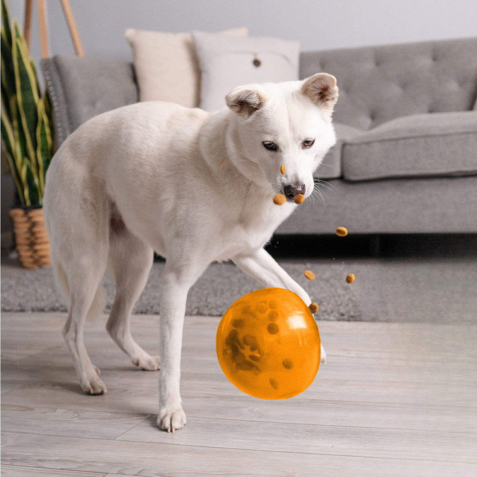 Nina Ottosson Outward Hound Snoop orange