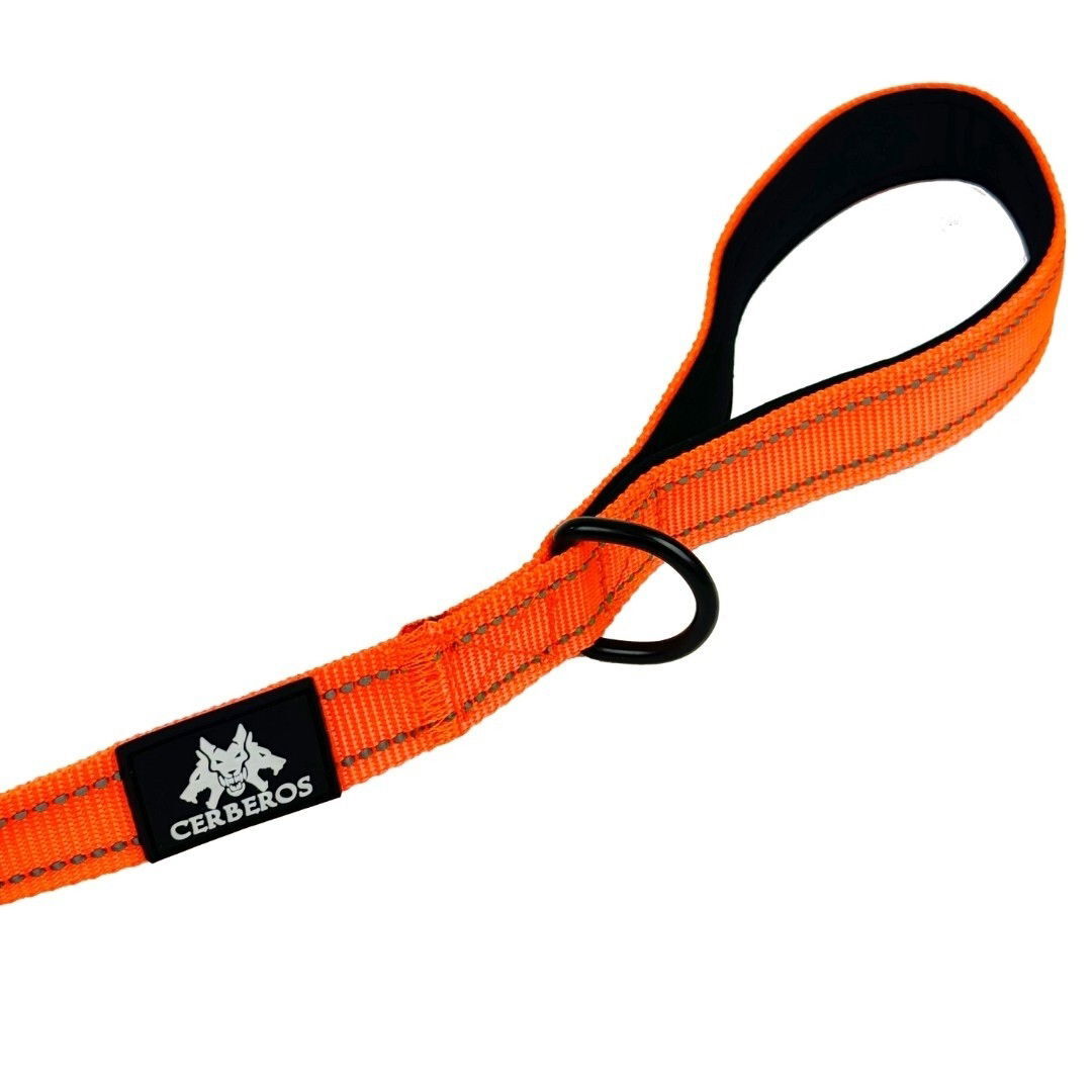Cerberos Dog Leash Orange, 3m
