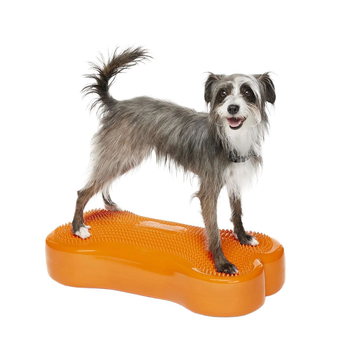 FitPaws K9FitBone