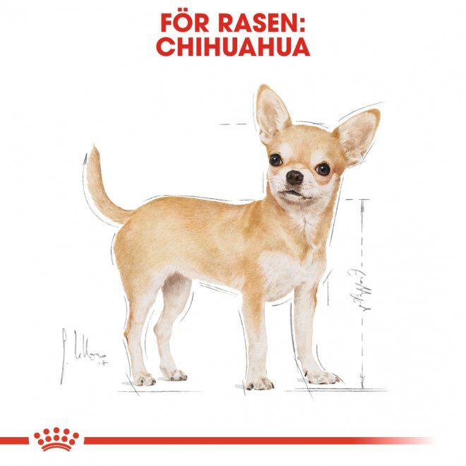 Royal Canin Chihuahua Adult torrfoder för hund