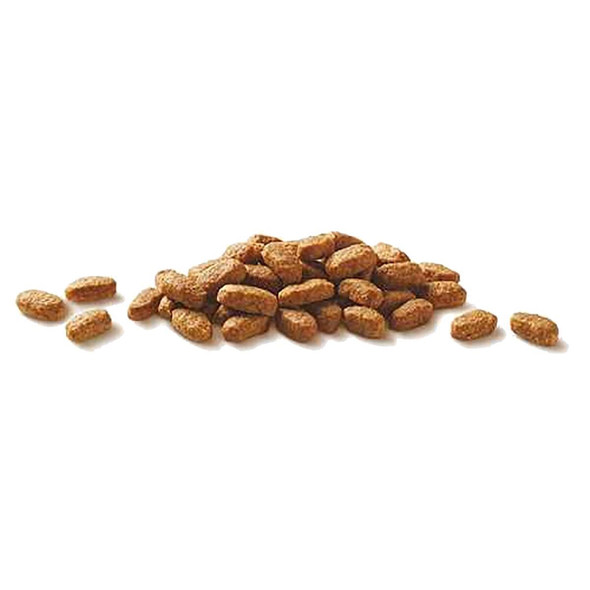 Purina ONE Adult Lax