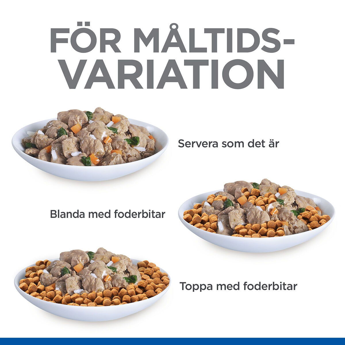 Hill's SP Cat Adult Healthy Cuisine Stews Ch/Sa 12x80g