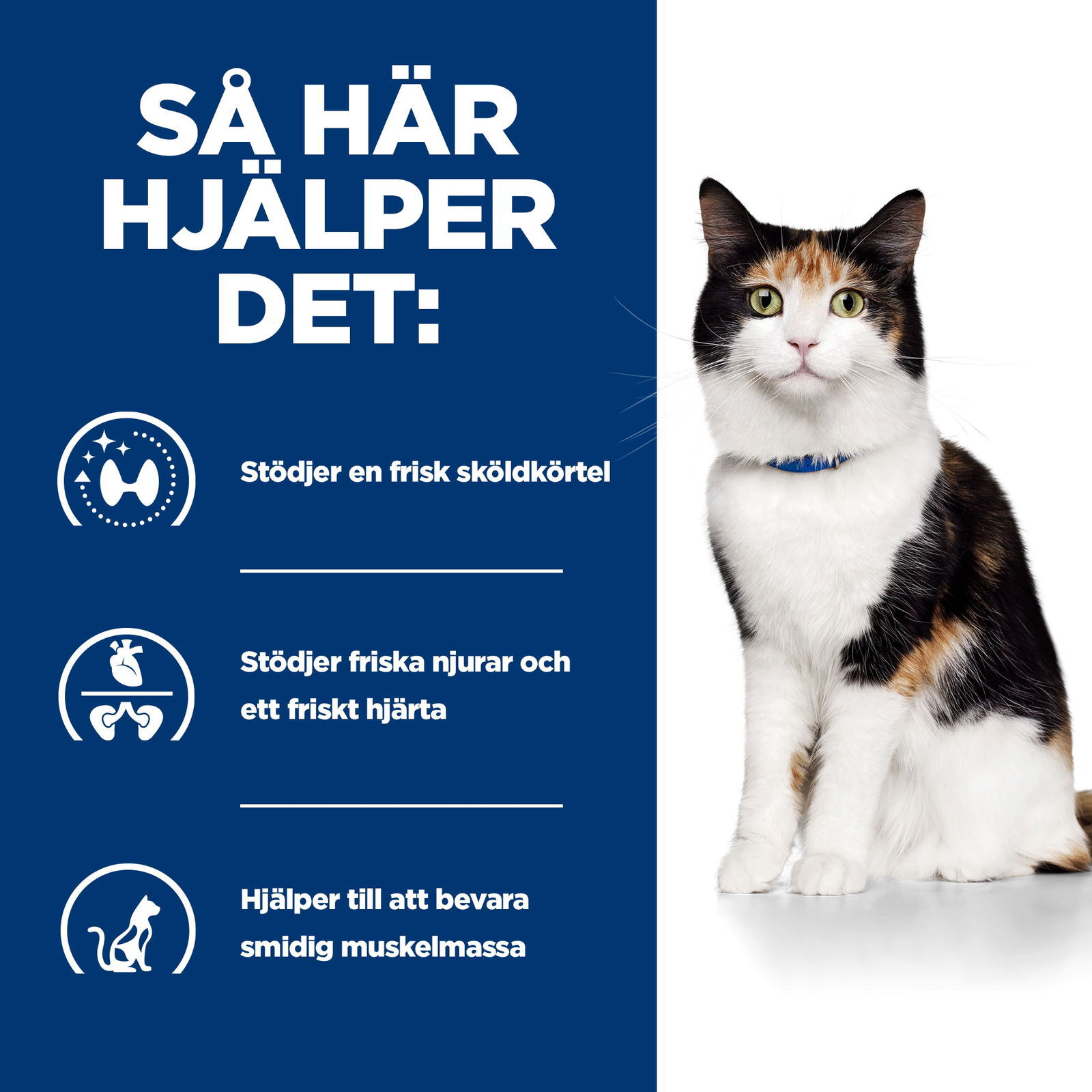 Hills Diet Cat y/d 1,5kg