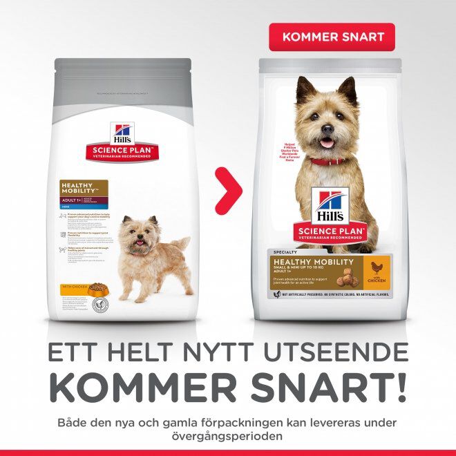 Hill's Science Plan Dog Healthy Small & Mini