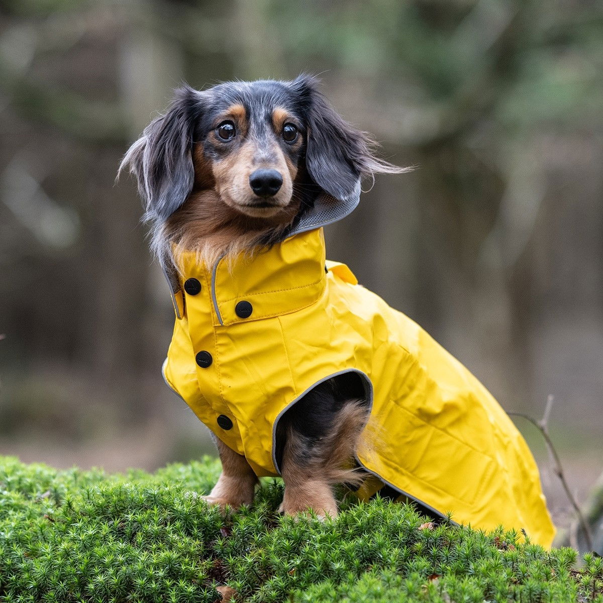 Rukka Stream Regntäcke Gul