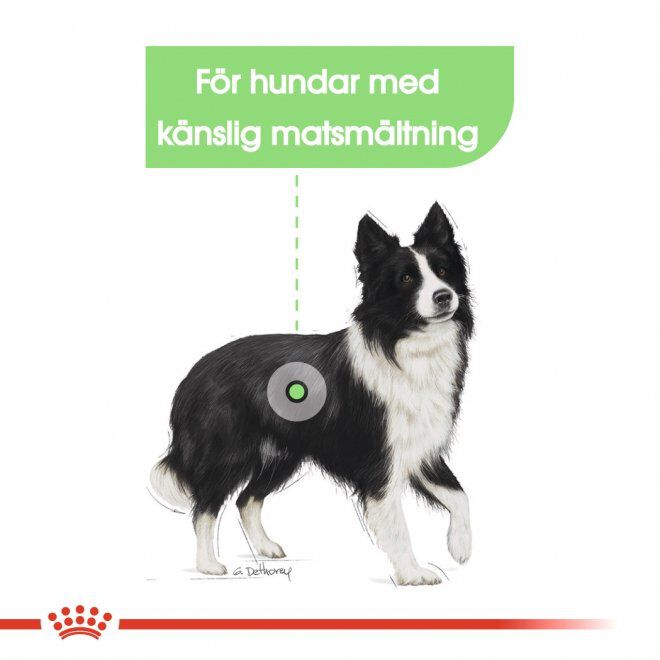 Royal Canin Digestive Care Medium Adult torrfoder för hund