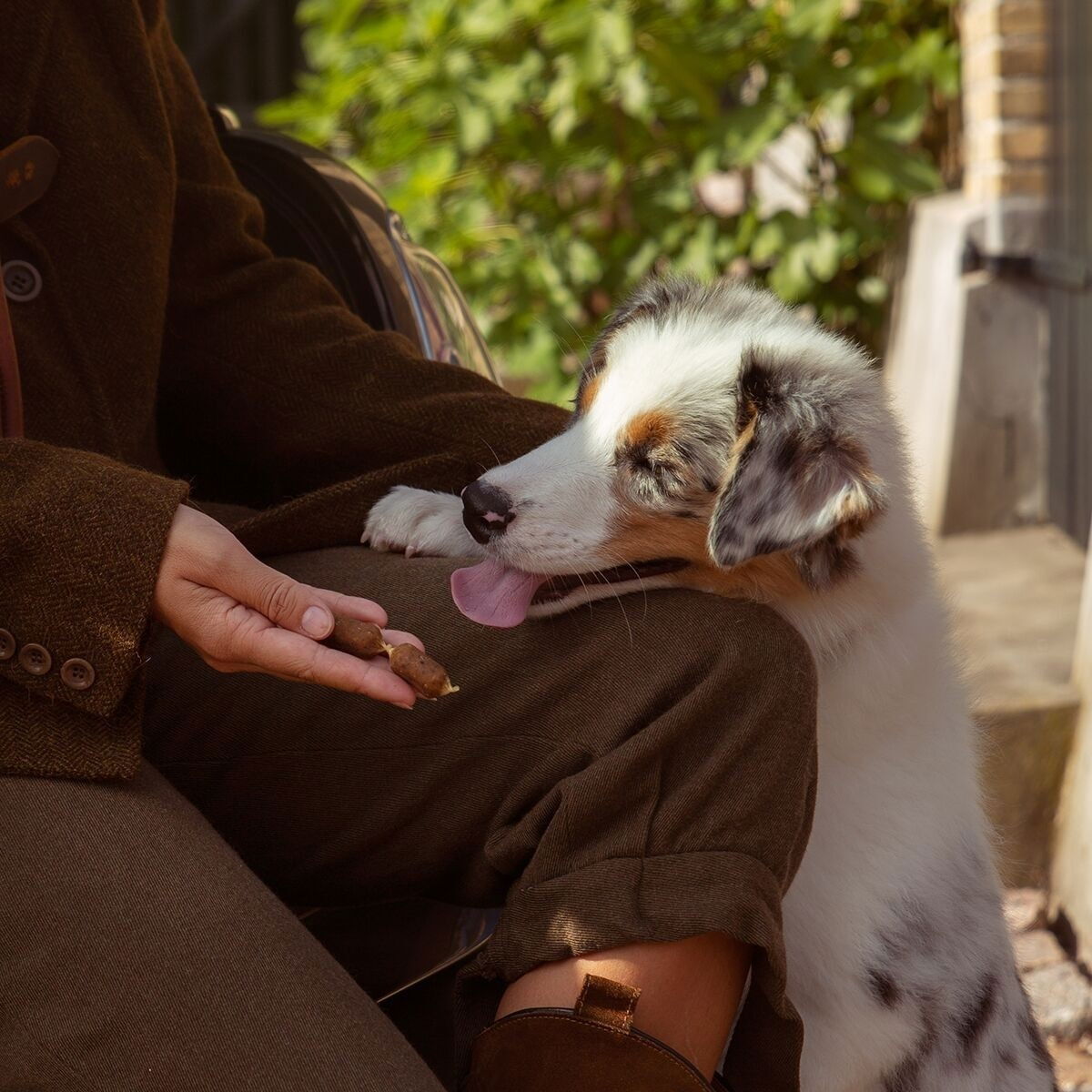 ESSENTIAL Salmon&Parsley Saus 150g