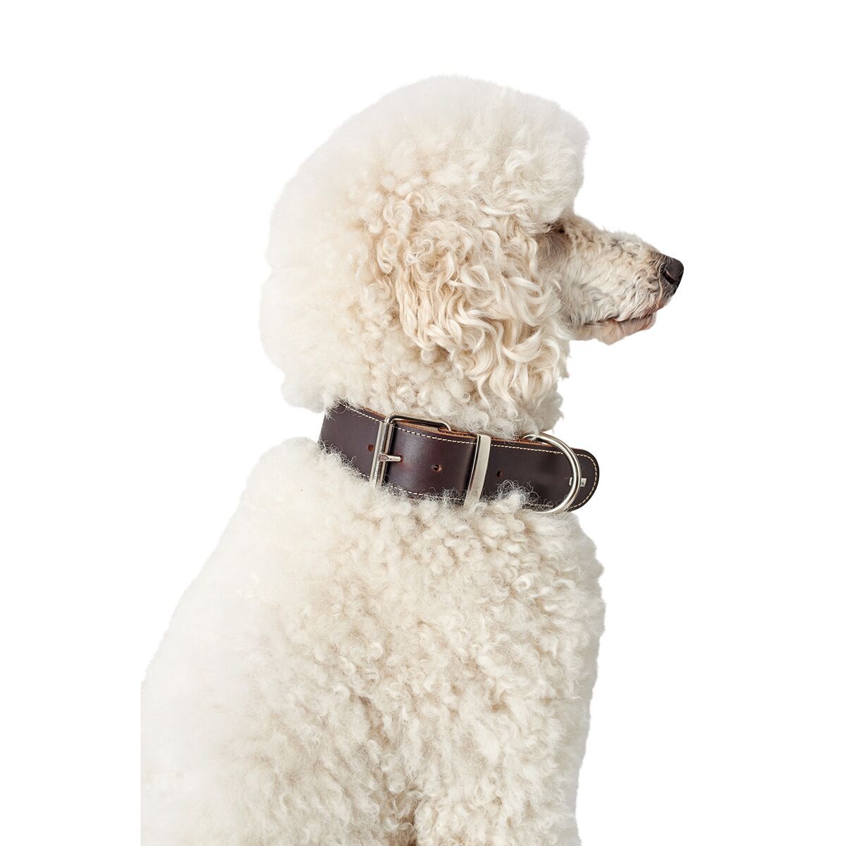 Hunter Collar Aalborg Special Dark Brown