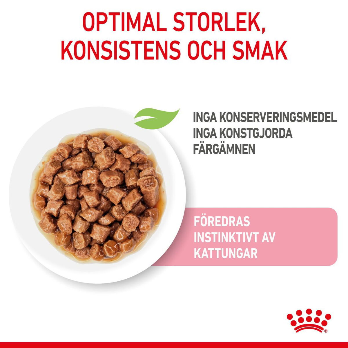 RC FHN Kitten Sterilised Gravy 12x85g