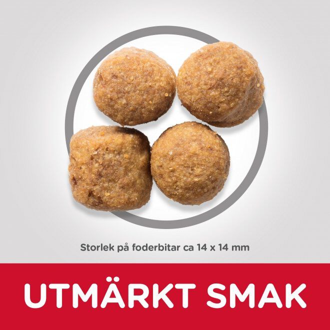 Hills Science Plan Canine Adult LB Chicken