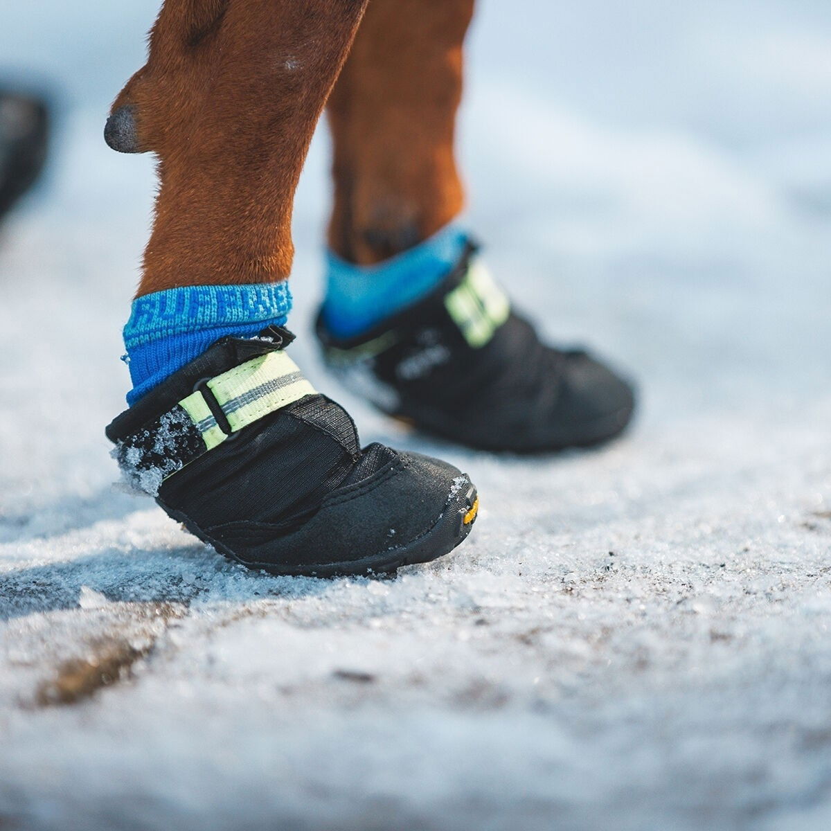 Ruffwear Summit Trex Obsidian Black